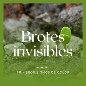 <b>Brotes invisibles</b> (Febrero 2026)